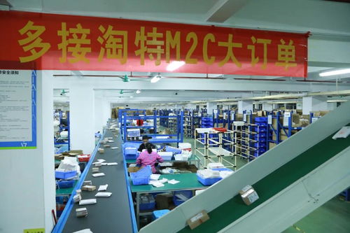 淘特2021 下沉市場的“性價(jià)比之王”突圍戰(zhàn)與數(shù)據(jù)處理服務(wù)的核心引擎