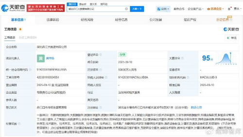 湖北丹江大數(shù)據(jù)公司成立，5億注冊資本瞄準(zhǔn)數(shù)據(jù)處理服務(wù)新藍(lán)海